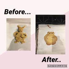 Big Chungus Cookie Cookies Fruit Haha