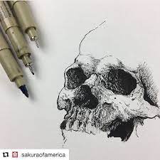 Sakura Micron Teknik Cizim Kalemi Kalemler Asitsizdir Sakura Pigma Micron Teknik Cizim Kalemi Illustrasyon Teknik Cizim Yazi Grafik Tasa Cizim Eskiz Drawing