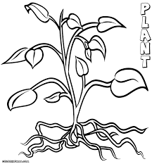 There are tons of great resources for free printable color pages online. Plant Coloring Coloring Home