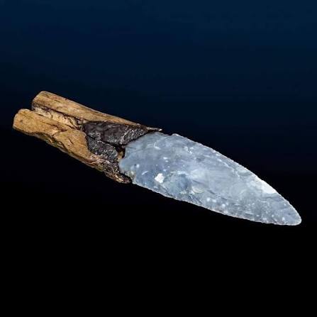 4,800-year-old Neolithic axe found in Lake Constance