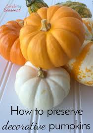 What to do with those left over pumpkins & gourds november 9, 2014 by susan 19 comments halloween is behind us but if you're like me, you may still be using the. How To Preserve Pumpkins And Decorative Gourds Simple And Seasonal