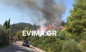 Μεγάλη φωτιά βρίσκεται σε εξέλιξη στα στύρα ευβοίας. Megalh Fwtia Twra Sthn Eyboia Konta Se Spitia Oi Floges Onsports Gr