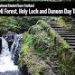 Argyll Forest, Glen Branter and Holy Loch Day Trip event image