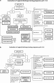 Image result for trichomonas images