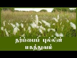 தர்ப்பை புல்... - SKA Arumugam pillai naatu marundhu kadai | Facebook