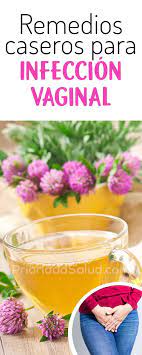 Pin On Remedios Naturales