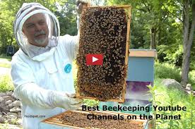 We did not find results for: 45 Beekeeping Youtube Channels For Beekeepers
