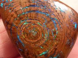 Geopicture Of The Week Tree Fossil With Opal Growth Rings Gems And Minerals Rocks And Minerals Minerals And Gemstones