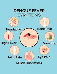 Image result for Dengue