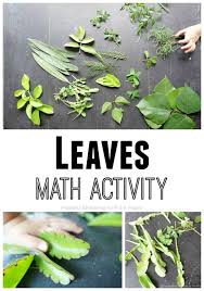 Leaves Nature Math Activity For Preschool Spring Math Activities Math Activities Maths In Nature