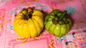 Synthetically grow cambogia in a lab and low. Gelugur Photos Free Royalty Free Stock Photos From Dreamstime