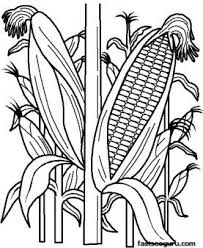 Printable Vegetables Corn Coloring Page Printable Coloring Pages For Kids Vegetable Coloring Pages Farm Animal Coloring Pages Coloring Pages