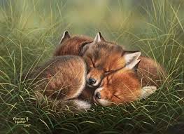 Abraham Hunter Fine Art Gallery Fox Art Animals Artwork Fox Dog