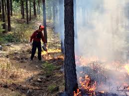 The bc wildfire service (bcws) is a unique program of government tasked with the responsibility of. Bc Wildfire Service Controls All Active Wildfires In The East Kootenay My East Kootenay Now
