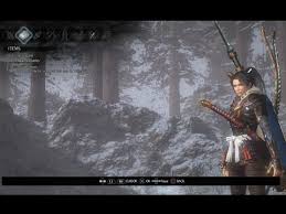 Head armour, torso armour, arm guards, leg guards and foot guards.each piece of equipment has a level, weight, durability and multiplier. If The Main Character Was A Sexy Female Instead Of A Guy Would You Be More Or Less Inclined To Purchase It Nioh Complete Edition General Discussions
