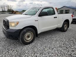 Image result for Verde Tundra 2007 159