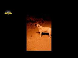 Sag Elin Verdigini Sol El Bilmeyecek Youtube