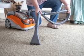 Zurück seite 1 seite 2. Hundehaare Sind Geschichte Thomas Aqua Pet Family