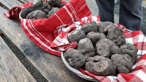 Des manifestations sur le thème de la truffe se déroulent du. Dans Le Lot Le Marche Aux Truffes De Lalbenque Prestige Et Tradition