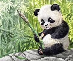 Also note that i fix a few mistakes that were in the previous step. Cute Baby Panda Drawing Realistic Novocom Top