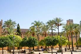 Tema di grande attualità, il clima è un altro di quei fattori che rende il mondo diverso. Visit Seville The Top Travel Destination For 2018