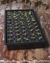 Smart Grow Seed Starter Kit Seed Starting Trays With 50 Cells Each Seed Starter Kit Seed Starter Seed Starting Kits