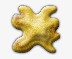 See more ideas about token, gaming token, d&d. D D Ochre Jelly Token Free Transparent Png Download Pngkey