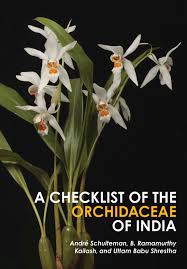 Image result for Orchidaceae