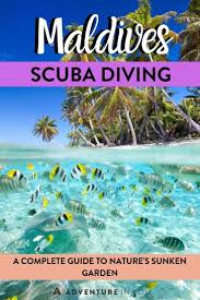 Maldives Diving 2020 All You Need To Know To Plan An Amazing Dive Trip Tropical Travel Maldives Travel Maldives Activities