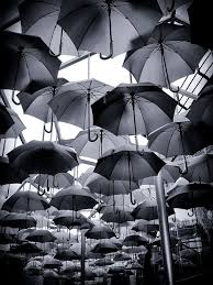 Black And White Umbrella Portugal Umbrella Installation We Ve Seen It In Color But We Love It In Black And White Eerit Fotografie Schwarz Weiss Schwarzweiss Fotografie