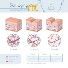 As Time Passes The Collagen Ha And Elastin That Once Held Your Skin Firm Starts Gradually To D Anti Aging Skin Care Anti Aging Skin Products Aging Skin Care