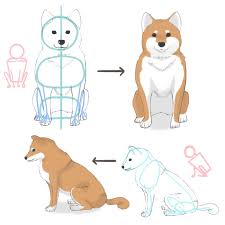 How to draw a cube in two different versions will be discussed in this lesson! How To Draw A Dog 2 How To Draw The Body And Pose Medibang Paint