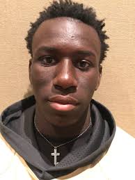 2017 Naples Daily News All-Area Boys Track Team