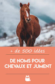Noms Pour Chevaux Males Et Femelles Plus De 200 Idees De Noms De Cheval Noms De Chevaux Cheval Idee De Nom