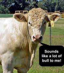 All rated by visitors and sorted from the best. Friday Funny Top 20 Cow One Liners Panhandle Agriculture