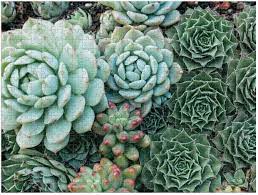 Here you will find jigsaw puzzles with scenery of all sorts and from all over the world. 10 Jigsaw Puzzles For Adults That Are Fun Challenging Beautiful Stylecaster