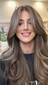 brown highlights hair
