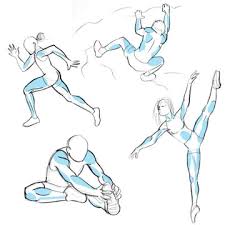 When you're looking at a model and you see a lot on bumps, you might be tempted to pull out an anatomy book to decipher what's going on under the skin. Human Anatomy Fundamentals Muscles And Other Body Mass