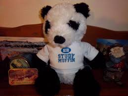 Aiu Student Eric Buren Submitted This Photo Of The Aiu Panda Un Mascot He Received During One Of Our Facebook Giveaways Join The Aiu F Buren Student Mascot