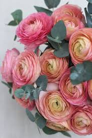 Eucalyptusingrid Henningssonof Ranunculus Weekend Spring Summer Bunch Pink For The A Beautiful Flower Arrangements Pretty Flowers Ranunculus Flowers