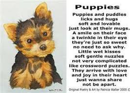 Pin By Patricia Adams On Animals Dog Poems Cute Puppy Breeds Dog Poetry
