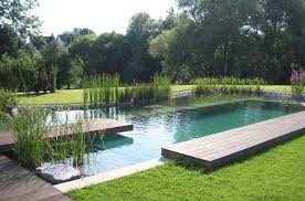 Natural Swimming Pool Naturschwimmbader Schwimmbecken Schwimmbad Designs