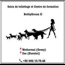 Dans le contexte actuel des mesures sanitaires liées au coronavirus, bruxelles formation se voit dans l'obligation d'annuler le salon de la formation fixé au 16 mars 2021. Salon De Toilettage Et Centre De Formation Bobby Groom Ii Gouvy Home Facebook
