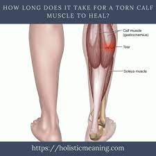 How Long Does It Take For A Torn Calf Muscle To Heal Torn Calf Muscle Calf Muscles Therapeutic Touch
