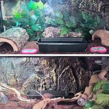 Image result for Terrarium Cling Background
