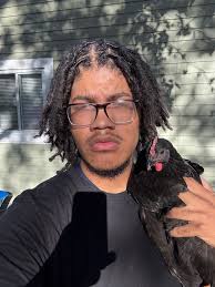 My oldest did a full photo shoot with his fav chickens lol 😂