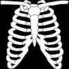 Anatomy of right side of back of rib cage / rib cage wikipedia.the rib cage is the part of the axial skeleton that protects the vital organs within the thoracic (chest) it is made up of the ribs that articulate at the back with the vertebral column (vertebrae) and at the there are 12 ribs on each side (left and right) and a clavicle (collarbone) on the left and right as well. 1