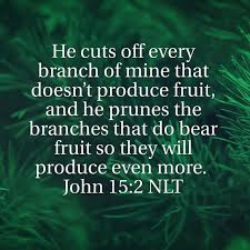 While We May Not Enjoy The Process Of Being Pruned The Result Is Perseverance Proven Character And Hope Inspirational Words Biblical Quotes Comfort Words