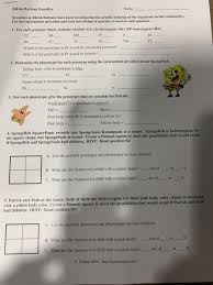 Spongebob genetics answer key page 1 : Solved Bikini Bottom Genetics Name Scientists At Bikini B Chegg Com