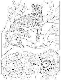 Download Coloring Book Animals J To Z